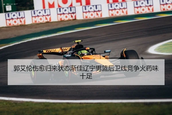 郭艾伦伤愈归来状态渐佳辽宁男篮后卫线竞争火药味十足